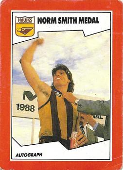 1989 Scanlens VFL #161 Gary Ayres Front